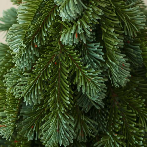 Sapin de Noël artificiel en polyéthylène pur, imitation sapin Nobel, décoration de table pour restaurant ou hôtel, 30 cm (1/3)
