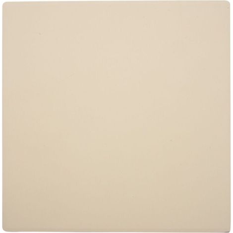 Pierre à Pizza Épaisse pour Four et Barbecue Plateau de Cuisson Pierre Naturelle 305x305x10mm
