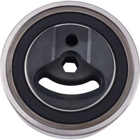 Keilrippenriemenspanner 49160-81A00 und 49160-64J02 passend für Grand Vitara, Jimny, Aerio und Liana