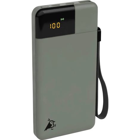 Aqiila Powerbird B10M Powerbank (batterie supplémentaire) 10000 mAh LiPo USB-A, USB-C® vert mousse (1/5)