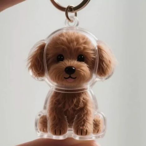 Boîte de rangement transparente pour chiots, boîte à poussière décorative avec animal en peluche suspendu, cadeau commémoratif (1/4)