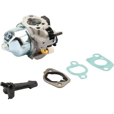 Carburateur pour tracteur de pelouse BRIGGS horizontal OHV 550 Series 083100 (1/2)
