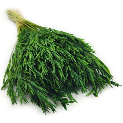 Avena deshidratada - Verde botella