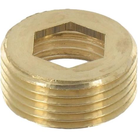 Bague de réduction Raccords M/F laiton Filetage 20 (1/2)