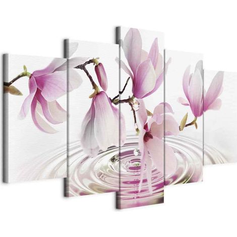 Immagine - Magnolie vicino all'acqua (5 pezzi) rosa largo (1/5)