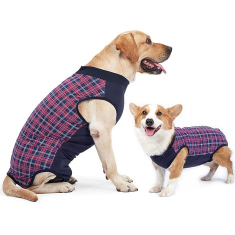 Chirurgischer Genesungsanzug für Hunde und Katzen, Anti-Leck-Kleidungsstück zum Schutz von Wunden und Narben (1/5)