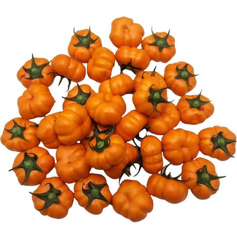 Citrouilles Artificielles - Modèle Réaliste en Mousse - Décoration Automne Halloween Noël Action de Grâce - Orangé - 10 Pièces (1/5)