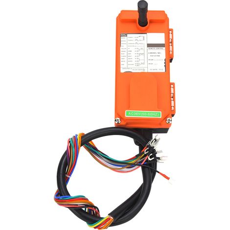 Palan électrique industriel télécommandé 36 V (1/5)