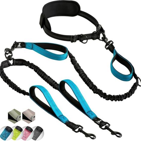 Laisse mains libre pour 2 chiens grande et moyenne taille – laisse anti-traction avec coutures réfléchissantes pour chien - accessoire chien pour le jogging, la marche à pied, la randonnée (1/5)