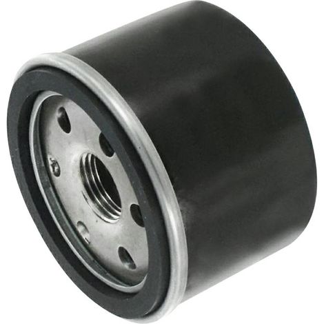 Filtro olio Briggs &amp Stratton Vanguard, Intek. Kawasaki FR651, FR691