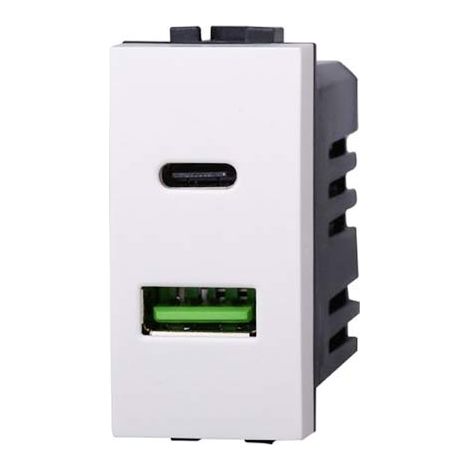 Chargeur avec 2 prises USB Type-A + Type-C compatible Bticino Livinglight 5Vdc 3.1A couleur blanc