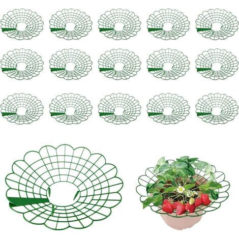 16 pièces Support de Fraises,Plastique Amovible Support Fraise, Supports de fraises vertes pour plantes, Protégez les fraises de la poussière et des escargots (1/5)