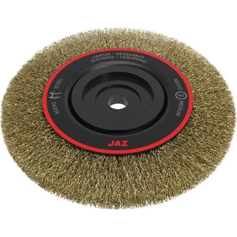 CEPILLO IND CIRC MULTIEJE 175X0,3 MM AC/LTDO JAZ (1/3)