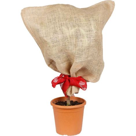 Jutesack natur Pflanzen-Schutzsack Winterschutz Pflanzenschutz Frostschutz 57x78 (1/2)