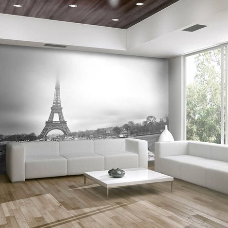 Papier peint paris : tour eiffel - 300 x 230 cm (1/4)
