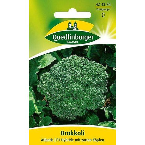 Quedlinburger Brokkoli Atlantis F1-Hybride - Gemüsesamen