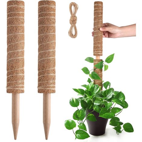 Poteau de Mousse, Support de bâtons de Plantes Extensibles, Piquets de Plantes pour Plante en Pot d'intérieur, Treillis de Plantes en Pot de Coco de 40cm pour Pothos et Autres Plantes Grimpantes (1/4)