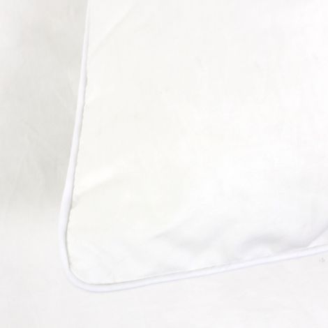 Couette VELAY LUXE garnissage duvet d'oie 300 g/m2 300x300 cm (1/5)