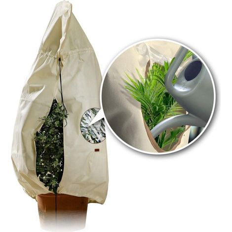 Bio Green Pflanzensack Window XXL 180 x 120 cm, natur Wintervlies (1/4)