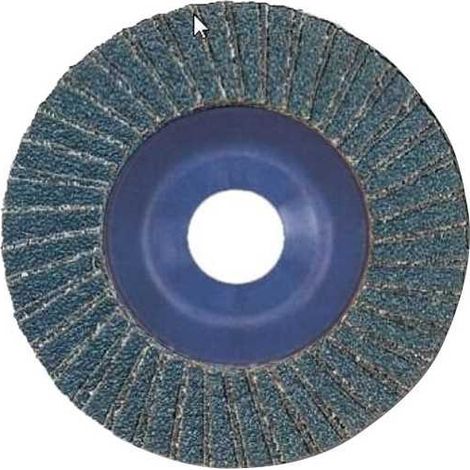 Disque lamelle en zirconium 115 F22 Poids 60