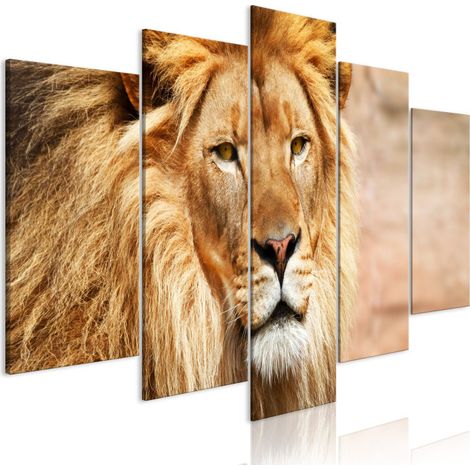 Tableau 5 Panneaux "The King of Beasts Wide Orange" 50 x 100 cm (1/2)