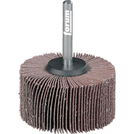 Forum Fächerschleifer 60 x 50 x 6 mm K 40