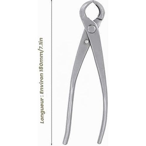 Lame de rechange pour coupe-arbres KT940, SK5 acier à haute teneur en carbone, diamètre de coupe 40 mm (deux lames supérieures) (1/4)