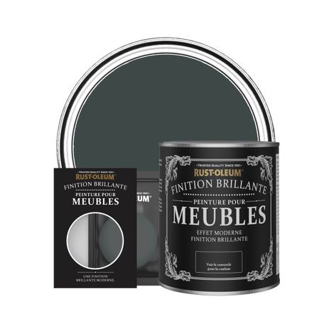 Peinture pour Meubles Brillante - Sable Noir (1/2)