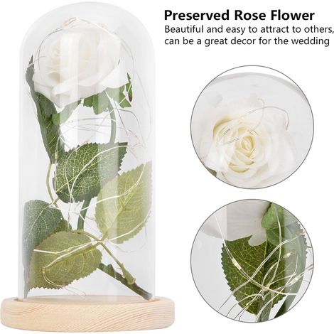 Rose artificielle lumineuse LED avec abat-jour en verre, décoration pour la fête des mères, cadeau d'anniversaire, cadeau de Saint-Valentin BZ1128 (1/5)