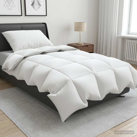 Set di piumoni in piume d’oca al 90% FULDA 2 pcs 135 x 200 cm vidaXL (1/5)
