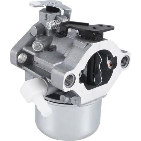 Carburateur Briggs & Stratton 28M707 28R707 28T707 28V707 694941 699831 Pièces moteur tondeuse Métal pour moteur vertical (1/4)