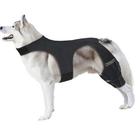 Genouillère réglable en néoprène respirant pour chien âgé actif après chirurgie (1/4)
