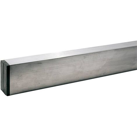 STADIA PER MURATORE mm 60x30 mt 2