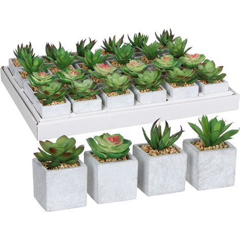 Pianta Decorativa Mica Decorations 8 x 5 cm Verde PVC Succulenta