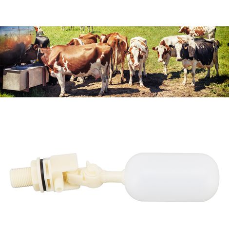 Accessoire pour abreuvoir à vache à filetage extérieur G1/2, flotteur rond, flotteur en plastique blanc pour abreuvoir à vache. (1/5)
