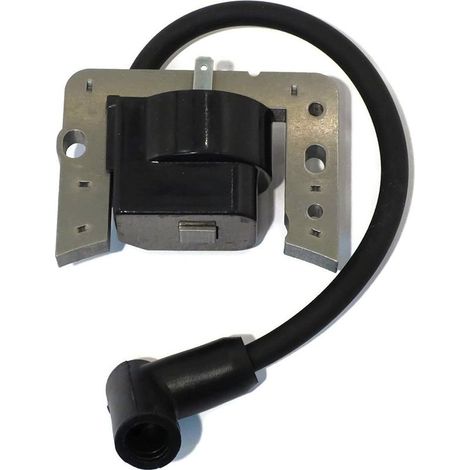 Bobine d'allumage de rechange pour Tecumseh 34443A 34443B 34443C 34444433D (1/4)