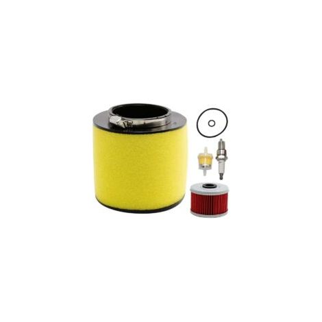 Filtro de aire de repuesto para Honda Foreman 400 450 TRX400 TRX450 1995-2004, para Honda Rancher TRX350FE TRX350FM TRX350TE TRX350TM 2000-2006 - Crezuo (1/4)