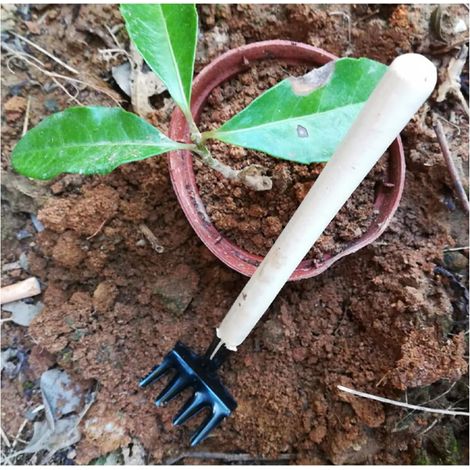 3 Pièces Outil De Jardinage pour Plantation Pot Kit Outils De Jardinage à Main Ensemble De Horticoles pour Plantes Succulentes (1/5)