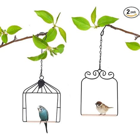 Lot de 2 perchoirs suspendus pour oiseaux d'extérieur - Balançoire pour colibris - Structure en métal - Convient aux perruches, canaris, petits oiseaux et oiseaux de jardin - Noir (1/5)