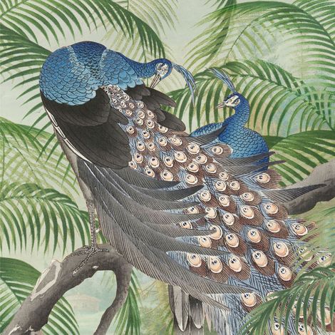 Art for the Home Fototapete Peacock 280x200cm