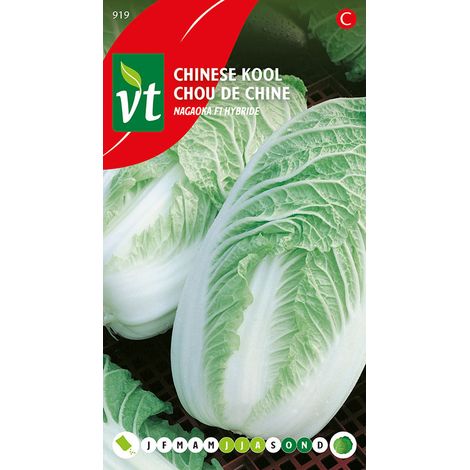 Chou De Chine Nagaoka F1 Hybride - Ca. 0,5 gr (Livraison (1/2)