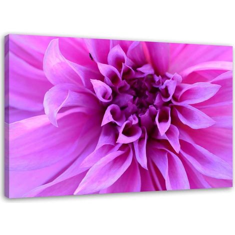 Tableau sur toile Rose Fleurs Plantes Nature 90x60 (1/5)