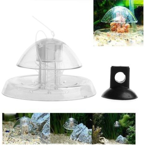 Piège à Escargots Transparent Poissons d'aquarium pour Capture Planaire Environnement Piège à Escargots pour Poissons d'aquarium pour S Plastique
