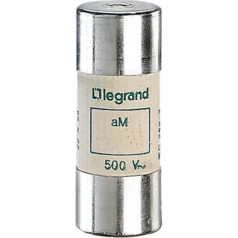 Legrand 015195 Zylindrische Patrone – aM – 22 x 58 mm 100 A (1/2)