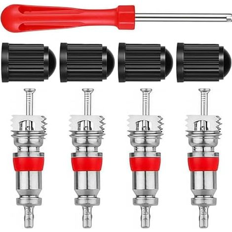 kit d'extracteur de Noyau vanne avec 4 Embouts vanne, métal et Plastique, clé d'automobile, Tournevis Outil Valve Pneu pour Voiture, vélo, Motocyclette, Camion - (1/5)