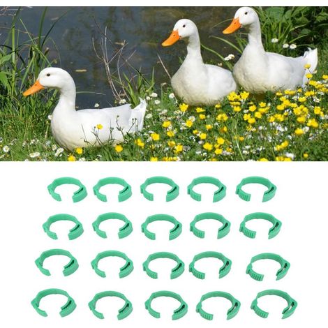100 pièces/Vente d'anneaux de cuisse de volaille à boucle ouverte pour gros poulets, canards et oies. (1/5)