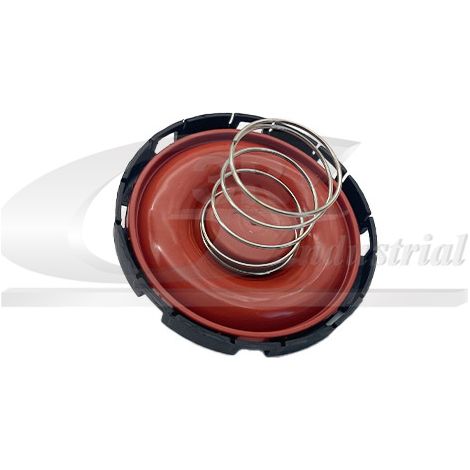 3RG 81115 CUBIERTA VÃƒÂLVULA