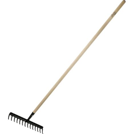 Rastrello rinforzato DEDRA a 16 denti - rastrello da giardino solido con manico in faggio