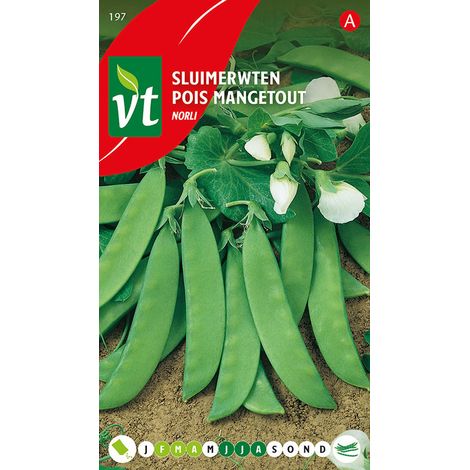 Pois Mangetout Norli - Ca. 50 gr (Livraison Gratuite)