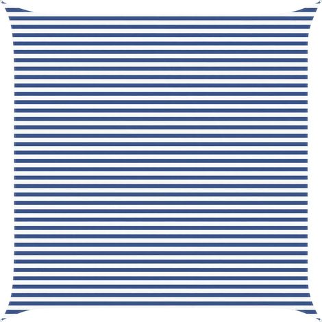 Toldo Vela de Sombra Azul y Blanco 5 x 5 m vidaXL